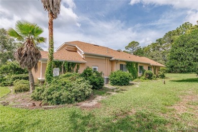 BEAUTIFULLY WELL APPOINTED LUXURY 5/3/3 POOL HOME LOCATED IN THE - photo 43