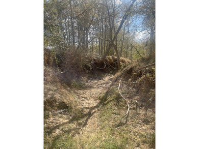 (private lake, pond, creek) Acreage For Sale in Waelder Texas