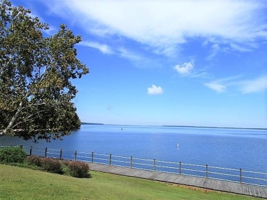 Waterfront condo with *Big Water* views located on ground level - Lake Home For Sale in Santee, South Carolina