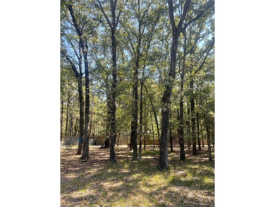 Lake Tawakoni Lot For Sale in West Tawakoni Texas