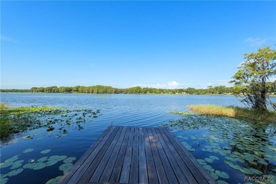 (private lake, pond, coastal) Home For Sale in Hernando Florida