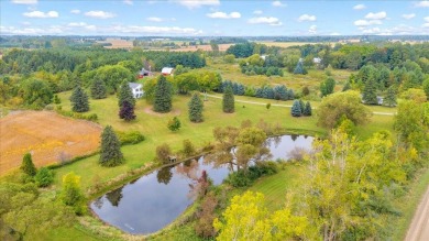 (private lake, pond, creek) Home For Sale in Carsonville Michigan