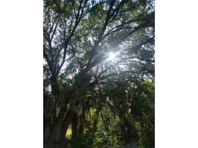 Lake Lot For Sale in Lake Wales, Florida