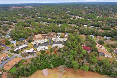 Completely Remodeled Townhouse in Sugarmill Woods. Welcome to - photo 2