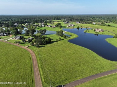 This open, two acre lot fronts Maura Lane SE and is located in - photo 1