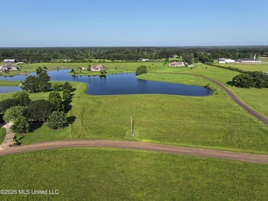 This open, two acre lot fronts Maura Lane SE and is located in - photo 3
