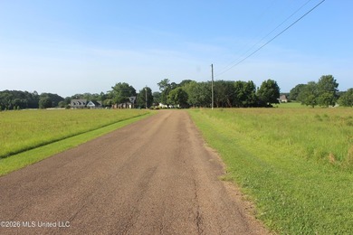 This open, two acre lot fronts Maura Lane SE and is located in - photo 4