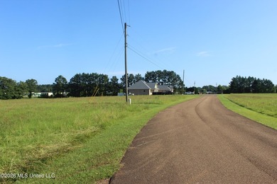 This open, two acre lot fronts Maura Lane SE and is located in - photo 6