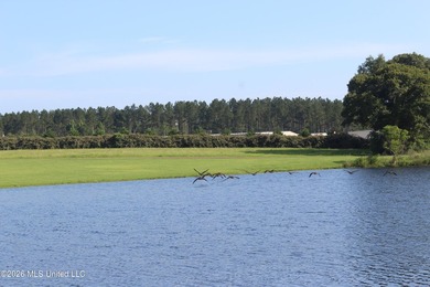 This open, two acre lot fronts Maura Lane SE and is located in - photo 9