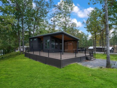 Welcome to The Cottages at Smith Lake - A Luxury Tiny Home - photo 6