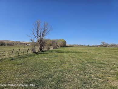 San Juan River Acreage Sale Pending in Waterflow New Mexico