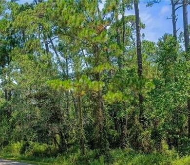(private lake, pond, coastal) Lot For Sale in Dauphin Island Alabama