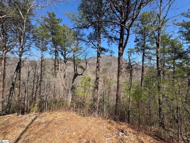 North Saluda Reservoir Lot For Sale in Travelers Rest South Carolina