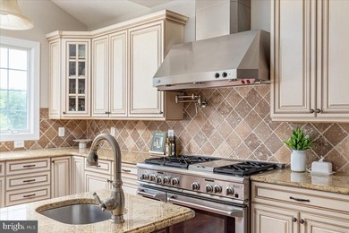 **OPEN SAT 7/18 2-4PM & SUN 7/19 2-4PM** Welcome to luxury - photo 13