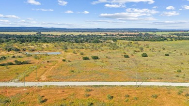 If you've been dreaming about space, quiet, and wide-open Texas - photo 3