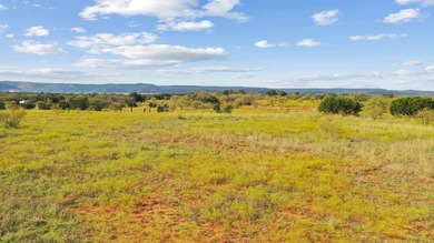 If you've been dreaming about space, quiet, and wide-open Texas - photo 5