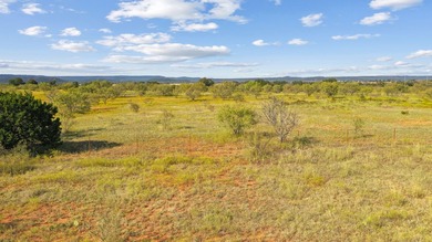If you've been dreaming about space, quiet, and wide-open Texas - photo 6