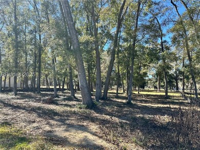 LAST AVAILABLE PARK FRONT LOT IN WHITEHALL POINT! Seize the rare - photo 2
