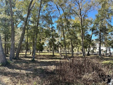 LAST AVAILABLE PARK FRONT LOT IN WHITEHALL POINT! Seize the rare - photo 3