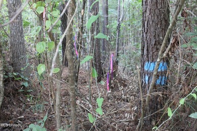 Welcome to this beautiful wooded tract of land located in - photo 11