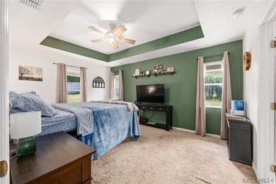 Beautiful 3-bedroom, 2-bath home in the heart of Citrus Springs - photo 18