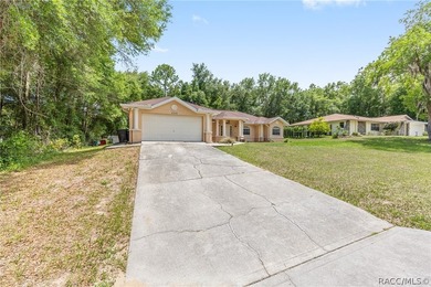 Beautiful 3-bedroom, 2-bath home in the heart of Citrus Springs - photo 46