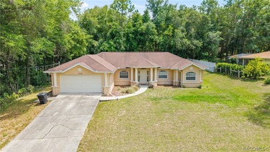 Beautiful 3-bedroom, 2-bath home in the heart of Citrus Springs - photo 47