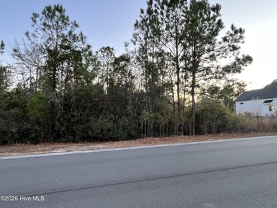 (private lake, pond, coastal) Lot For Sale in Shallotte North Carolina