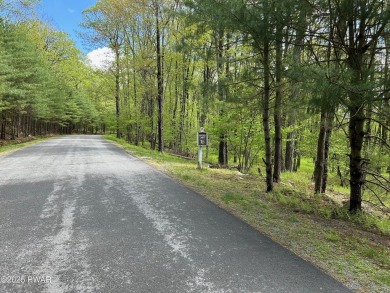 Lake Acreage For Sale in Dingmans Ferry, Pennsylvania
