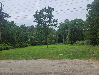2 Adjacent lots in the Shadybrook Community! .41 Acres total - photo 4
