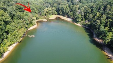 WHAT A GREAT PRICE ON THIS BEAUTIFUL CUL-DE-SAC LOT WITH NICE - Lake Lot For Sale in Crane Hill, Alabama