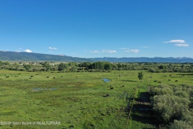 Lake Acreage For Sale in Driggs, Idaho