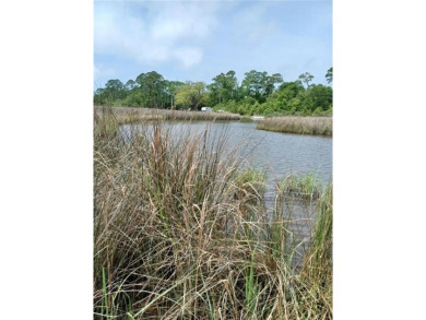 (private lake, pond, coastal) Acreage For Sale in Coden Alabama