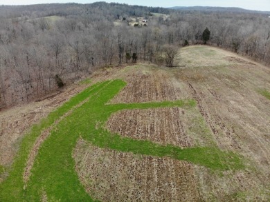67 acres of prime whitetail deer hunting property! - Lake Acreage For Sale in Falls Of Rough, Kentucky