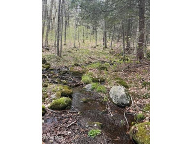 - Located on 8.4 private acres with direct access to 7 miles of - photo 45