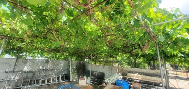 Fabulous properties for development. With R2 zoning it's a good - photo 8