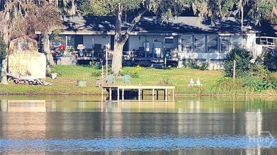 Welcome to this charming lakefront home on Lake George in Midway - photo 4