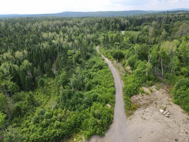 Looking for land with a little bit of everything? This rare - photo 2