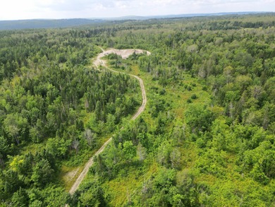 Looking for land with a little bit of everything? This rare - photo 5
