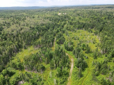 Looking for land with a little bit of everything? This rare - photo 6