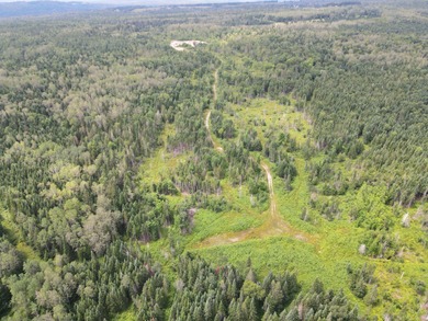 Looking for land with a little bit of everything? This rare - photo 7