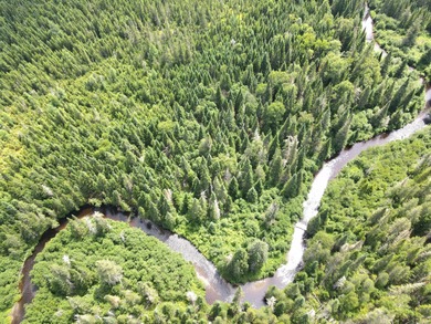 Looking for land with a little bit of everything? This rare - photo 8