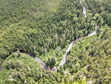 Looking for land with a little bit of everything? This rare - photo 9