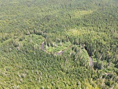 Looking for land with a little bit of everything? This rare - photo 10