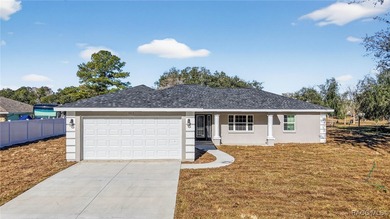 Davis Lake Home For Sale in Inverness Florida