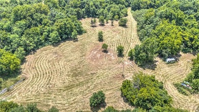 Rare opportunity to acquire 61.33 acres near Beaver Lake with - photo 3