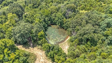 Rare opportunity to acquire 61.33 acres near Beaver Lake with - photo 4