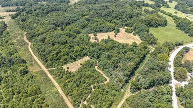 Rare opportunity to acquire 61.33 acres near Beaver Lake with - photo 5