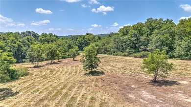 Rare opportunity to acquire 61.33 acres near Beaver Lake with - photo 6