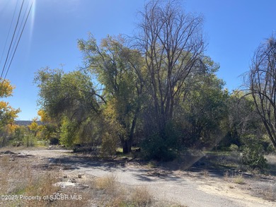 San Juan River Commercial For Sale in Farmington New Mexico